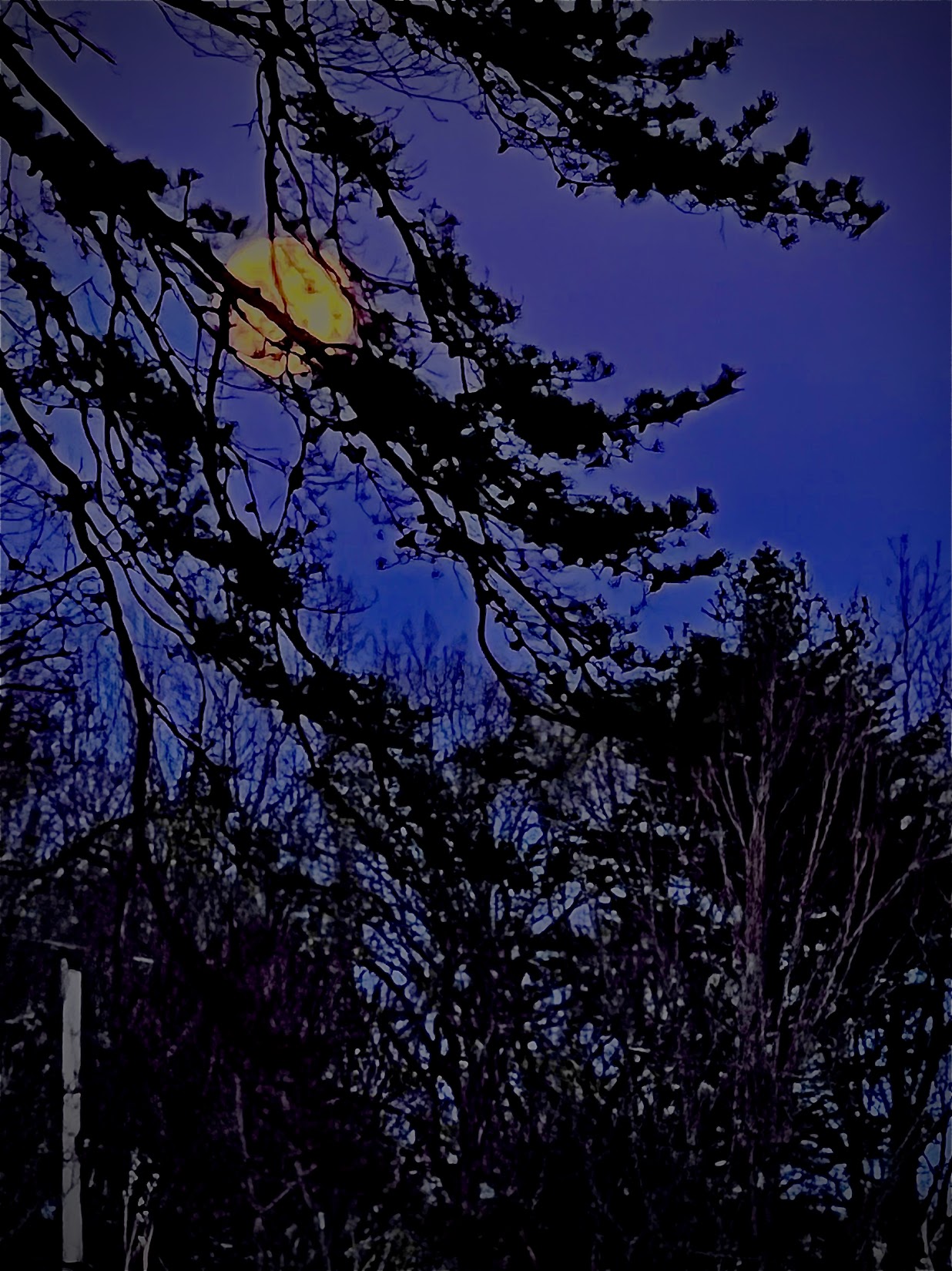 NightLight